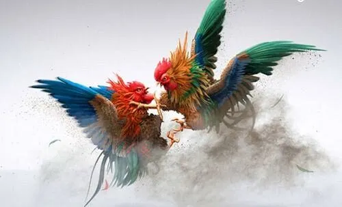 Giới thiệu đôi nét về tựa game Game Đá Gà Xoso66