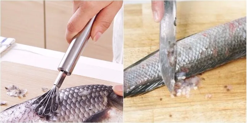 Nằm mơ về thấy đang bắt được con cá lóc đen